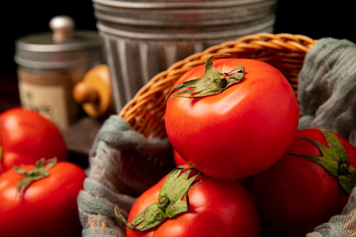 紅色新鮮番茄紅茄西紅柿食材食品蔬菜攝影圖 st攝影