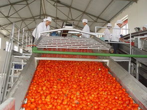 官宣 內(nèi)蒙古日報 頭版頭條關注 天賦河套