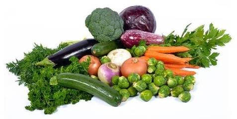 反季節(jié)蔬菜這類產(chǎn)品對人身體有害無益,學習蔬菜的季節(jié)分類屬性